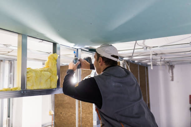 Best Spray Foam Insulation in Mccullom Lake, IL